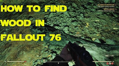 Nehmen sie sich zeit für ein englisches buch und genießen sie das lesevergnügen! How to find Wood for Building in Fallout 76 - YouTube