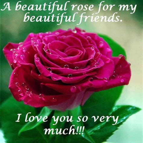A Beautiful Rose For My Beautiful Friends I Love You So Very Much