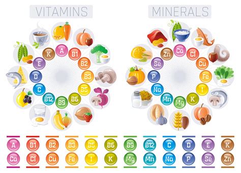 Natural Sources Of Vitamins And Minerals Scalar Light