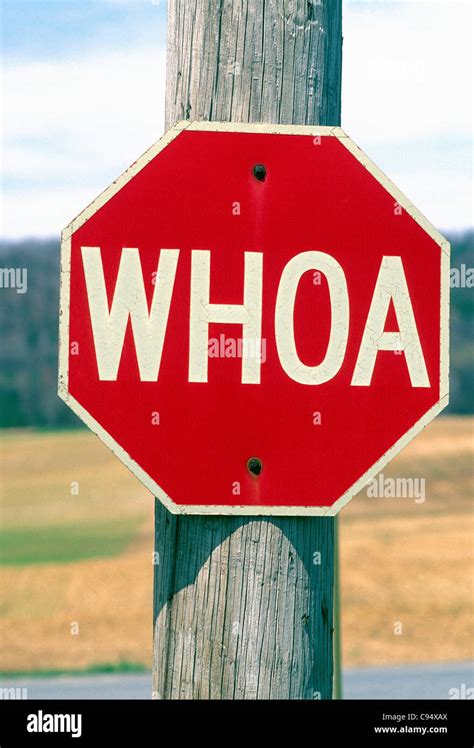 Street Sign Stop Sign Reads Whoa Stock Photo Alamy