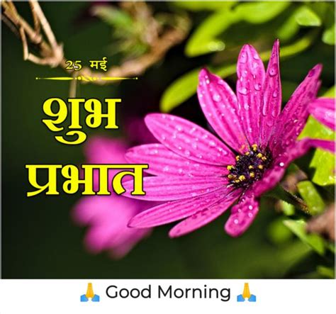 good morning 🌄 dil se ️ ️💕💕💓💓 sharechat photos and videos