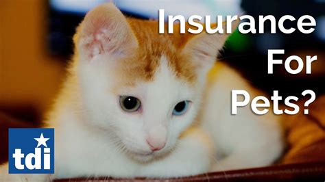 We analyzed the top pet insurance companies and translated the coverage detail into layman's terms. Is Pet Insurance Right For You? | Texas Department of ...