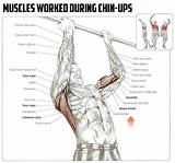 Images of Strengthening Muscles For Pull Ups