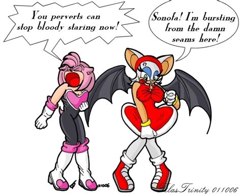 Amy And Rouge Xd Sonic The Hedgehog Photo 10151025