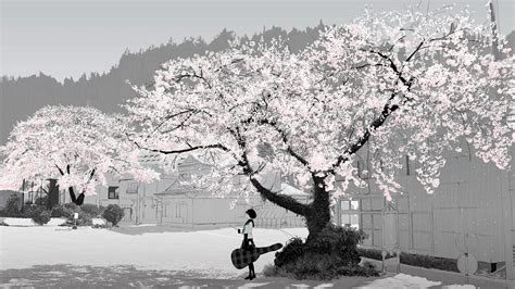 Cherry Blossom Snow Wallpapers Top Free Cherry Blossom Snow