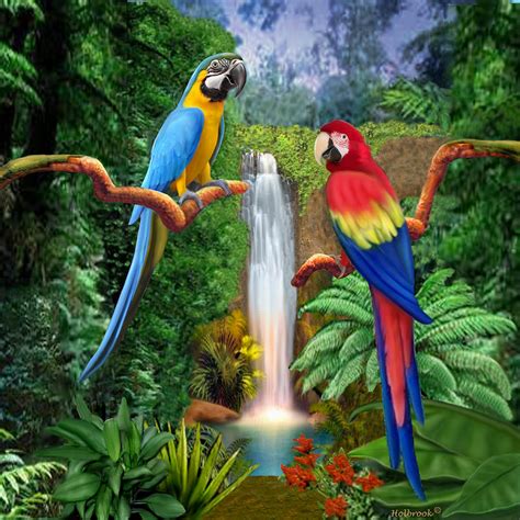 Macaw Tropical Parrots Digital Art By Glenn Holbrook