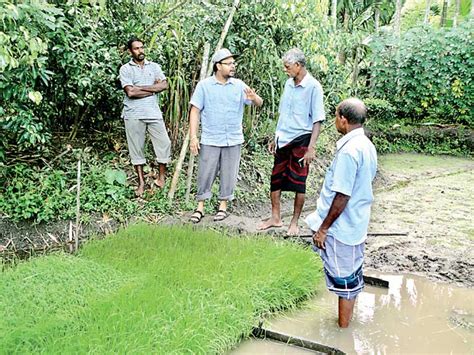 Impact Of Price On The Organic Rice Farming Sector In Sri Lanka Daily Ft