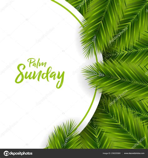 Palm Sunday Vector Design — Stock Vector © Yohanes01 256225560