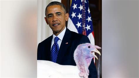 obama spares turkeys mac and cheese in annual thanksgiving pardon fox news