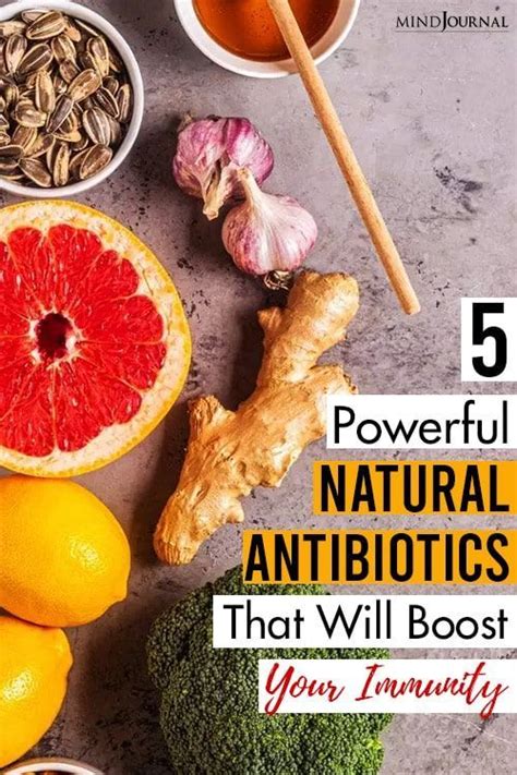 5 Powerful Natural Antibiotics That Will Boost Your Immunity In 2021