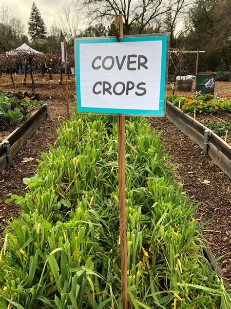 The 2020 pest management guides are available in pdf* format and are divided into three volumes: Evening Update: Open Garden canceled