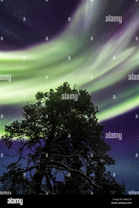 Northern Lights In Urho Kekkonen National Park Finland Stock Photo Alamy