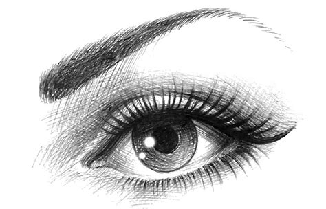 Perhaps you are working on a portrait of a friend or family member. Draw Realistic Eye Cheat Sheet - Drawing Made Easy
