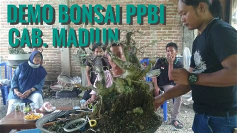 Belajar Bonsai Serut Bersama Ketua Ppbi Cabang Madiun Youtube