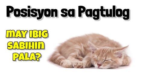 Swerteng Posisyon Sa Pagtulog Ng Pusa May Ibig Sabihin Pala Youtube