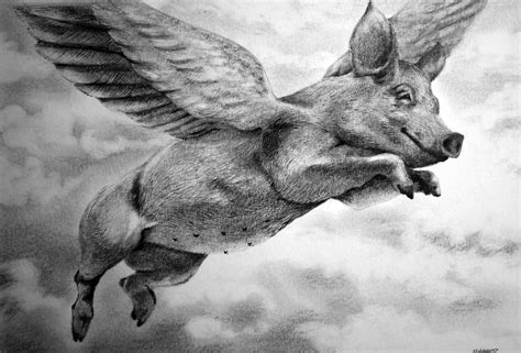 Flying Pig Drawing At Explore Collection Of Flying