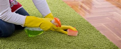 5 Benefits Of Green Carpet Cleaning Brilliance Carpet Cleaning