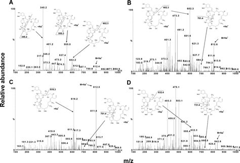 Representative mass spectra and diagnostic fragmentation ...