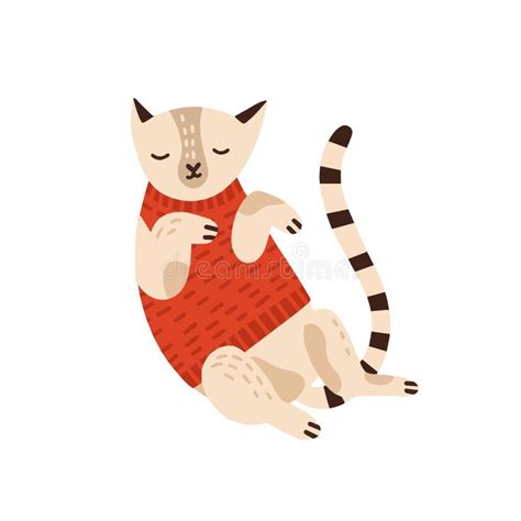Cat Sweater Cartoon Illustration Stock Illustration Illustration Of