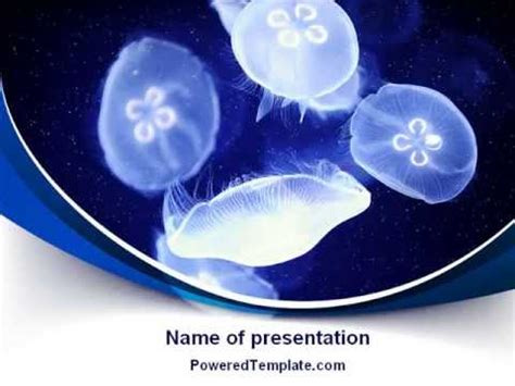 Free + easy to edit + professional + lots backgrounds. Jellyfish PowerPoint Template by PoweredTemplate.com - YouTube