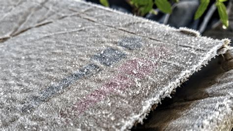 We did not find results for: Neve, geada e frio intenso no Sul do Brasil - MetSul ...