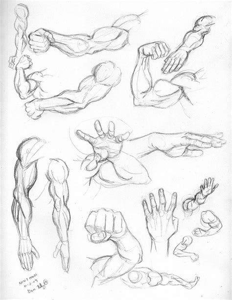 More Comic Anatomy By Bambs On Deviantart Arm Drawing Human Anatomy