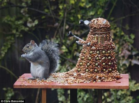 Exterminut Grey Squirrel Goes Nuts For Doctor Whos Greatest Enemy