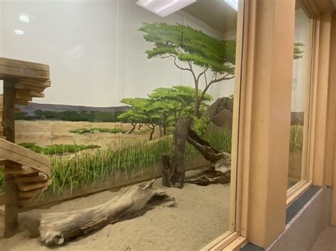 Giraffe Building Indoor Meerkat Exhibit Zoochat