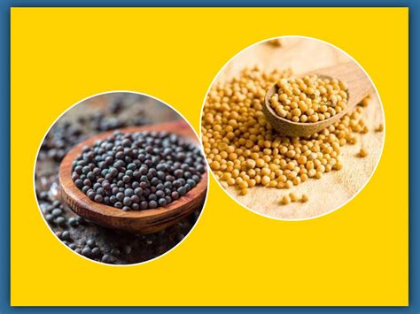 Mustard Seeds Nutrition Health Benefits And Side Effects Nutripulse