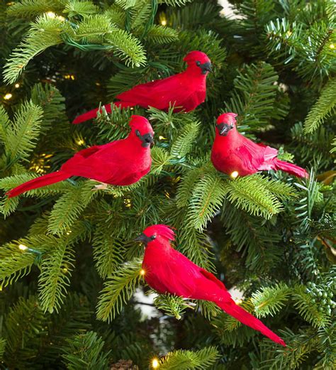Clip On Cardinal Christmas Tree Ornaments Set Of 4