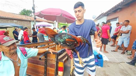 Feira Das Galinhas Da Fumageira Em Arapiraca Parte Nordeste Youtube