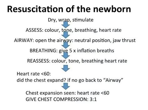 Neonatal Resuscitation Flow Chart Postpartum Nursing Child Nursing Ob