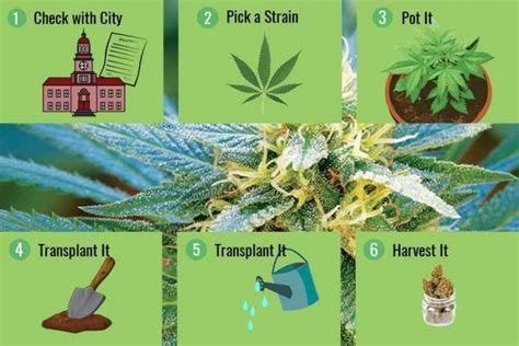 Best Guide To Grow Your Cannabis Indoor Strange Sounds