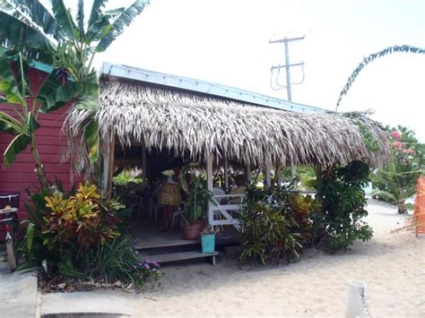 The Shak Picture Of The Shak Beach Cafe Placencia Tripadvisor