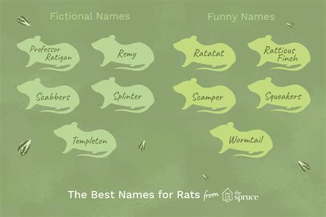 Names for Your Pet Rat