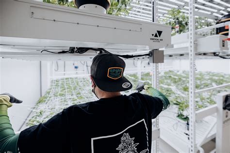 Vertical Grow Racks For Indoor Farming Pipp Horticulture
