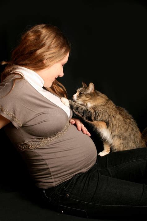 Pregnant With Cat Stock Image Image Of Childbirth Animals 4854783