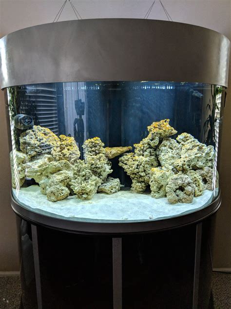 144 Gallon Oceanic Half Circle Aquarium For Sale In Maricopa Az Offerup