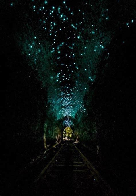 Glow Worms Have Taken Over This Abandoned Tunnel In Nsw Australia 9gag