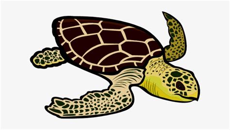 Leatherback Turtle Clipart Sea Turtles Green Sea Turtle Clipart