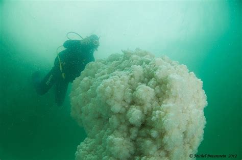Diving The Dead Sea Dead Sea Sea Dead