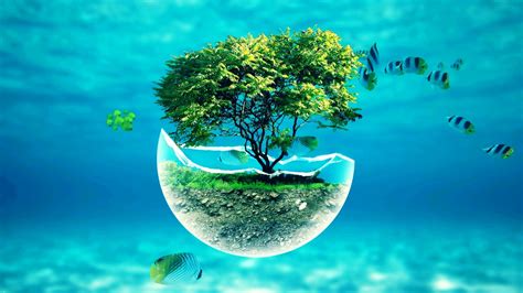 Free download 74 Underwater Desktop Wallpapers on WallpaperPlay