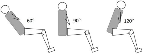 Sports Free Full Text Effect Of Hip Flexion Angle On The Hamstring