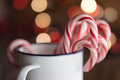 Candy Canes In A Mug By Stocksy Contributor Ina Peters Stocksy