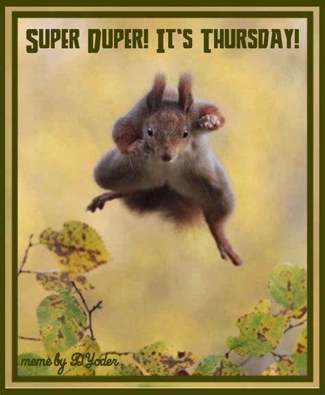 Super Duper Its Thursday Leaping Squirrel Wild