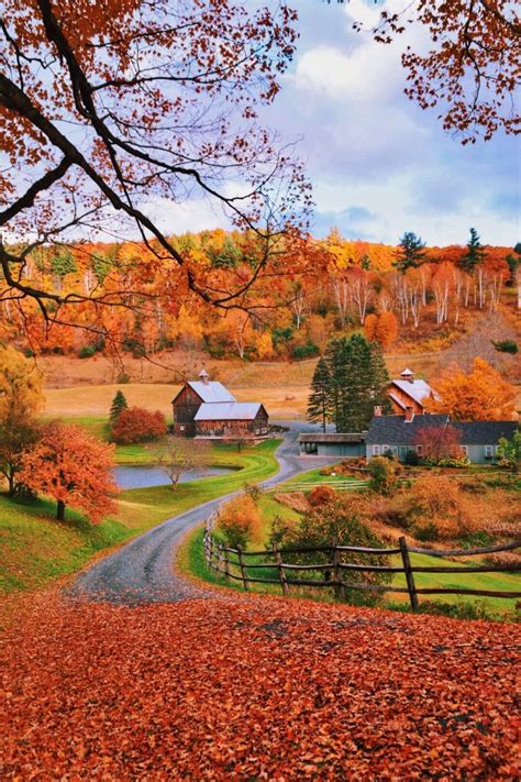 3936 Best Fallautumn Harvest Season Images On Pinterest Autumn