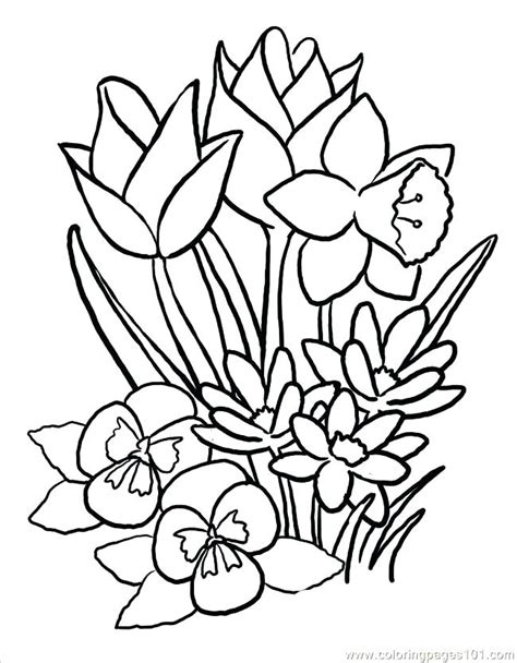 Large Printable Coloring Pages At Free Printable