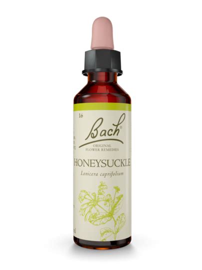 Honeysuckle bach™ original flower remedy feeling: Honeysuckle Bach™ Original Flower Remedy - Presence ...