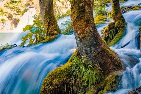 Captivating Morning View Of Plitvice National Park Stock Image Image