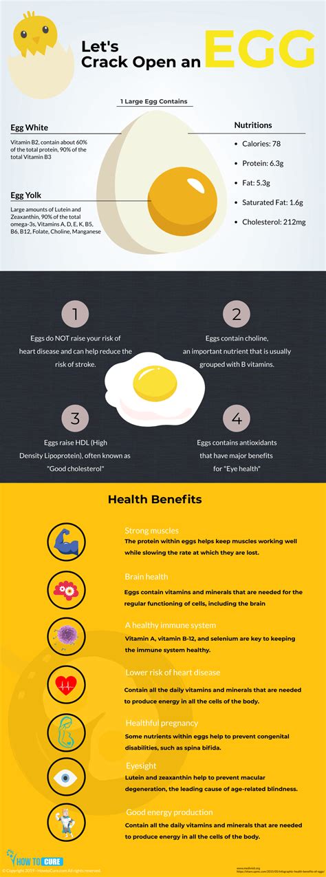 While a ketogenic diet is proving to have numerous health applications, many individuals are using ketosis sample exercise program: Egg Fast Keto Diet: Sample Menu for Egg Fast Keto Diet | How to Cure